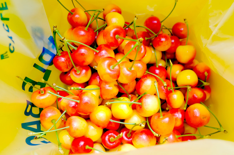 Trái cherry màu gì và có bao nhiêu màu sắc phổ biến?