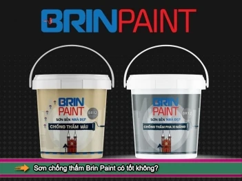 Sơn chống thấm Brin Paint có tốt không? - KHOA HỌC