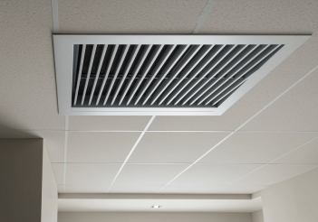 Miệng gió lá sách có tác dụng gì? 5 chức năng quan trọng thường bị bỏ qua