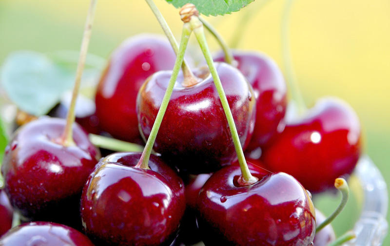 trái cherry màu gì