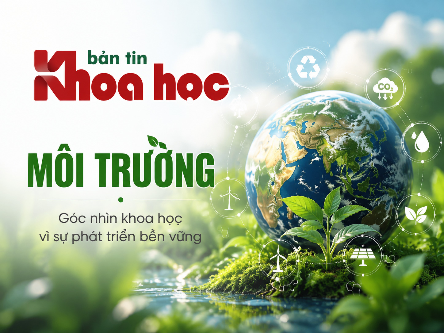 Môi trường